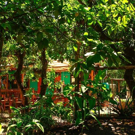 Hôtel Croa La Rana à Yacanto Extérieur photo